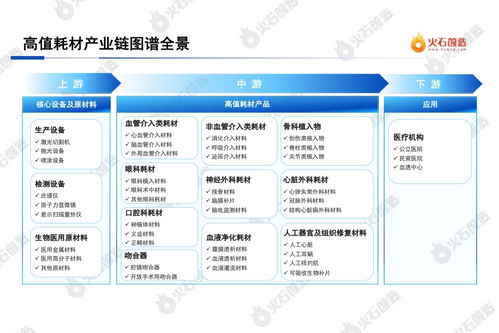 火石创造 2022中国医疗器械高值耗材产业报告