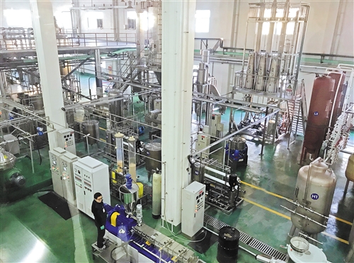 来,建一个生物塑料梦工厂