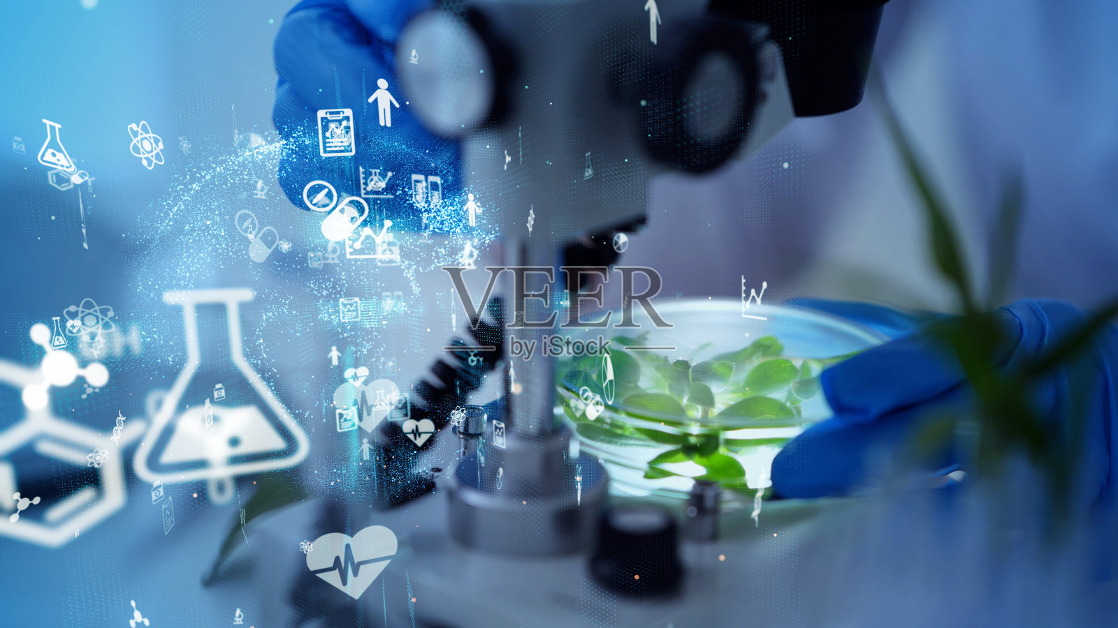 生物技术的概念。食品科技。营养科学。照片摄影