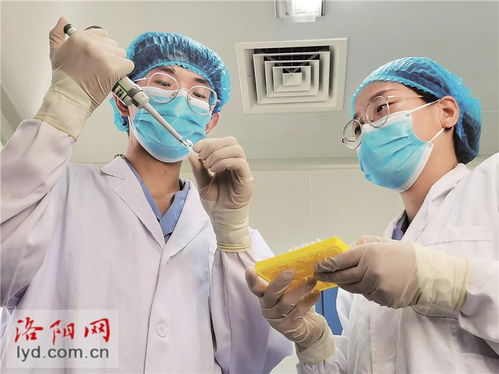 洛阳惠中生物技术 研发高端疫苗产品 为畜牧业保驾护航