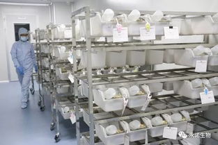 全年满分 永诺医学检验所再次满分通过2017年全国临床检验室间质评